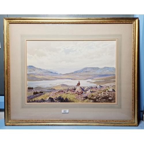 311 - J C Harrison (1898-1985)
 Watercolour
 Grouse in moorland, Loch Broom, 32cm x 46cm