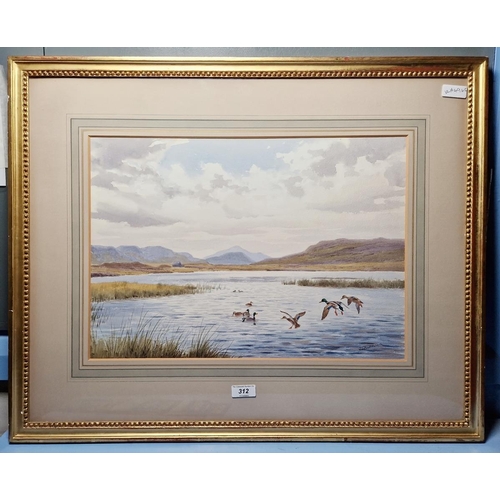 312 - J C Harrison (1898-1985)
 Watercolour drawing
 Duck rising on Loch Broom, 32.5cm x 47cm