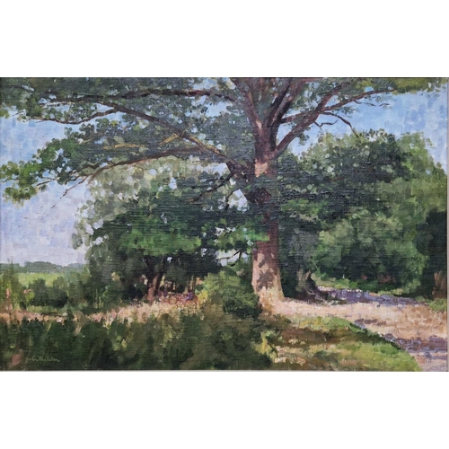 386 - John McLellan
 Oil on board
 Study of an oak, signed, with NEAC label verso, 49cm x 74cm