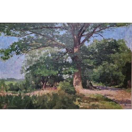 386 - John McLellan
 Oil on board
 Study of an oak, signed, with NEAC label verso, 49cm x 74cm