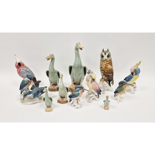 39 - Collection of Karl Ens porcelain models of birds, including kingfishers, parrots and owl, printed bl... 