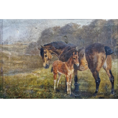 411 - Sophie Turner (19th century)
 Oil on canvas
 Study of a mare and foal in field, signed, 24cm x 34cm