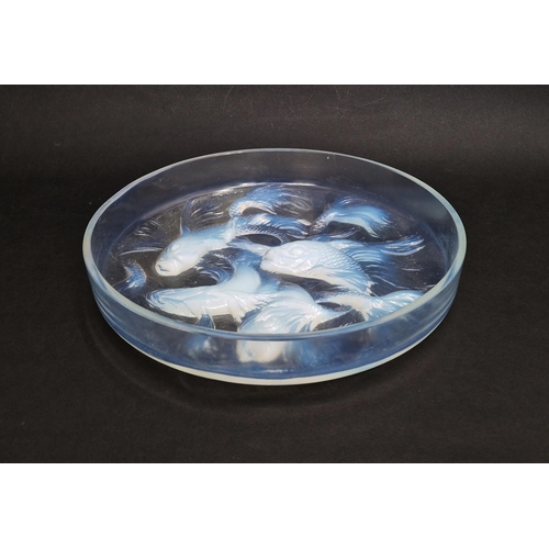 145 - Rene Lalique large 'Cyprins' box lid no. 42, the opalescent glass lid with relief decoration of fish... 