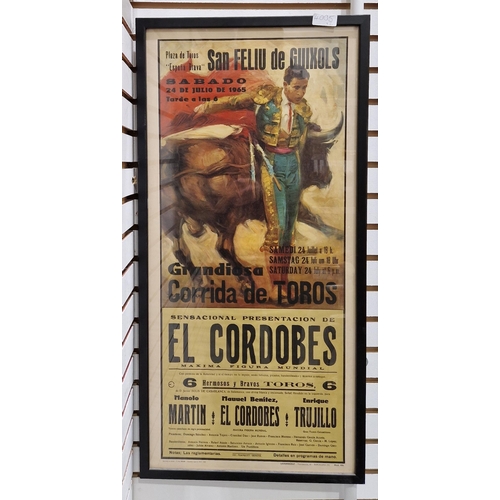 311 - Two Spanish bull fighting posters, framed and glazed, largest 107cm x 55cm (2)