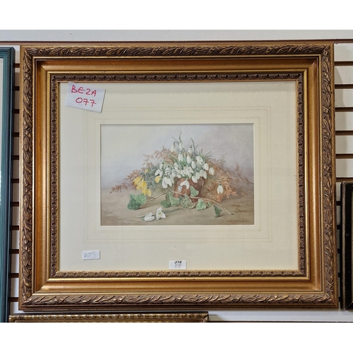 318 - M. Scattergood
 Watercolour
 Still life study of snowdrops, signed lower right, framed and glazed, 2... 