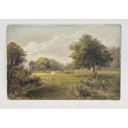 365 - Late 19th/early 20th century oil on panel painting, titled 'Southampton Common' depicting a horse an... 