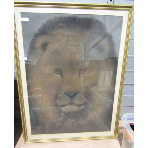 1288 - Framed print - the head of  lion, full face.