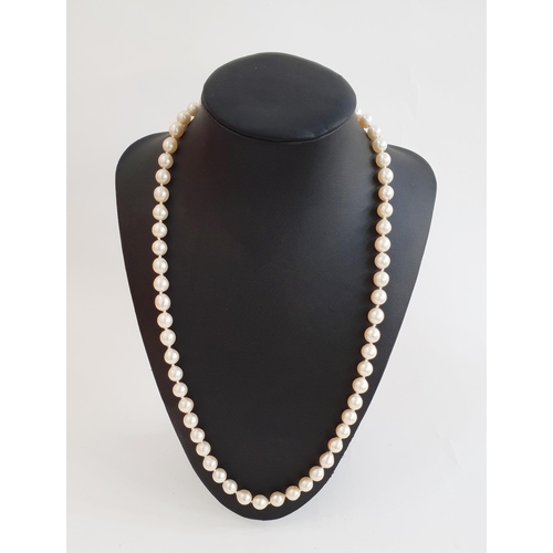 369 - Cultured pearl necklace, graduated and the sapphire set flowerhead clasp, and a cultured pearl neckl... 