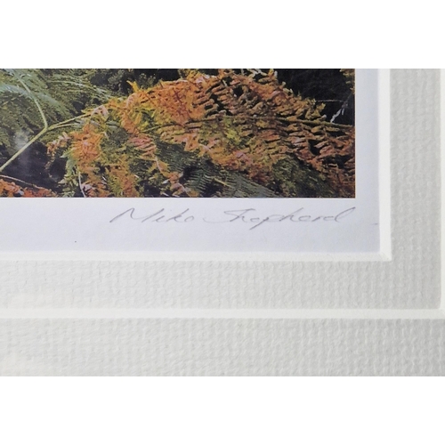 366 - Mike Shepherd
 Photographic print
 'Woodland Vision II', Artist's Proof, signed and titled in pencil... 