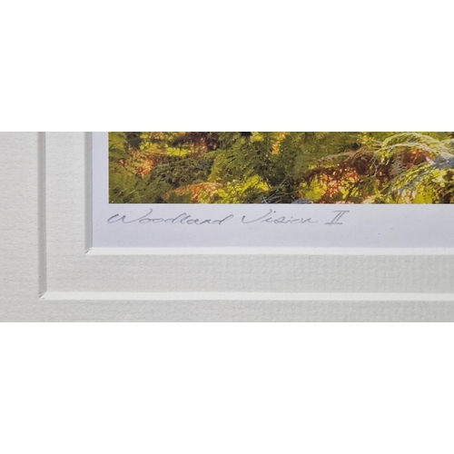 366 - Mike Shepherd
 Photographic print
 'Woodland Vision II', Artist's Proof, signed and titled in pencil... 