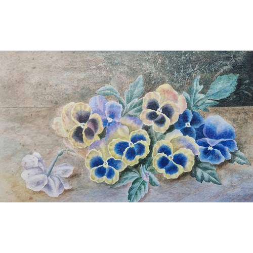 399 - George ?
 Watercolour
 'Study of Pansies', indistinctly signed lower right, framed and glazed, image... 