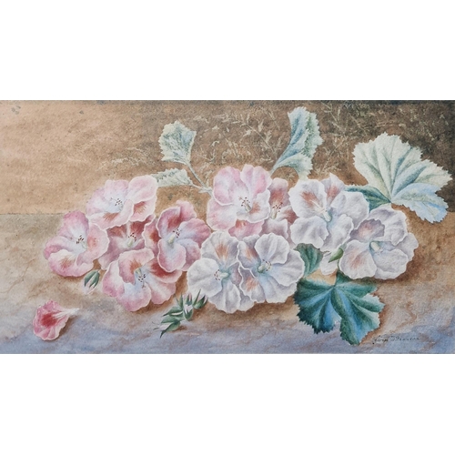 399 - George ?
 Watercolour
 'Study of Pansies', indistinctly signed lower right, framed and glazed, image... 