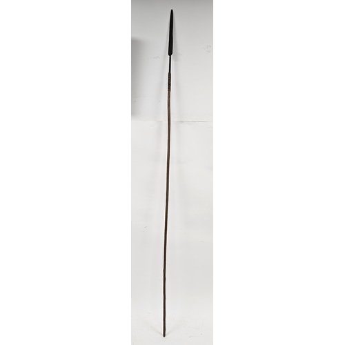 110 - Spear with metal tip and cane handle