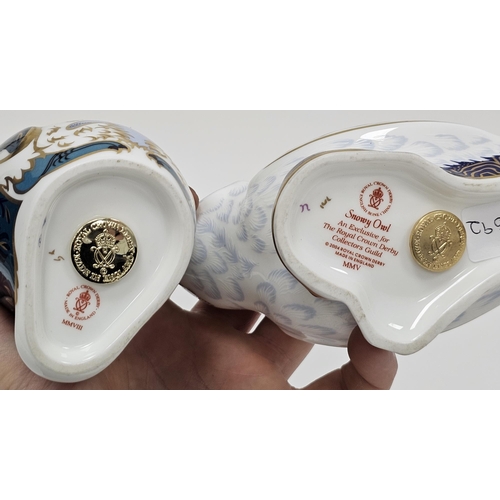 14 - Four Royal Crown Derby bone china animal paperweights, comprising snowy owl, rockhopper penguin, ano... 