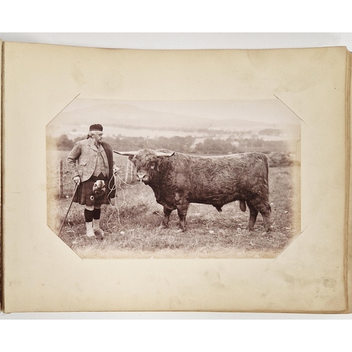 222 - Animal Studies by Charles Reid (1837-1929), Wishaw, mounted with images of cattle, horses, birds, sh... 