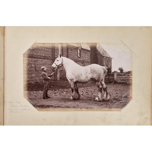 222 - Animal Studies by Charles Reid (1837-1929), Wishaw, mounted with images of cattle, horses, birds, sh... 