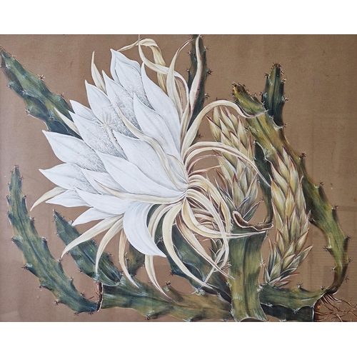 371 - 20th century school
 Watercolour and gouache
 Two floral studies, one of a cactus flower the other o... 