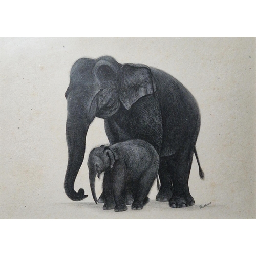 394 - Thushara (Sri Lanka)
 Watercolour
 Set of four studies of elephants, signed lower right, framed and ... 