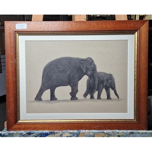 394 - Thushara (Sri Lanka)
 Watercolour
 Set of four studies of elephants, signed lower right, framed and ... 