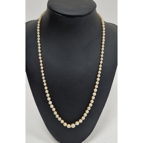 793 - String of graduated cultured pearls on white metal clasp