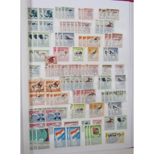 154 - South Africa stamps: Four stock-books of mainly mint/used definitives, commemoratives and postage du... 