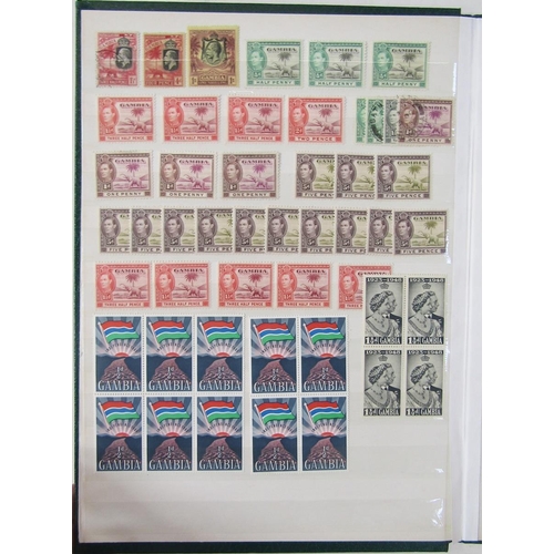 175 - Br Empire Africa/others: Two stock books of mint and used definitives, commemoratives, postage due, ... 