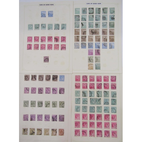 202 - Cape of Good Hope stamps: Eight pages QV-KEVII used definitives including 5 triangulars and higher v... 