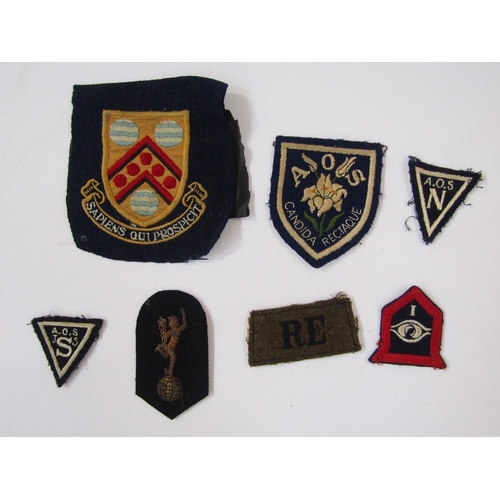 225 - Collection of British Army cap badges, cloth badges, rank markings and shooting medals.