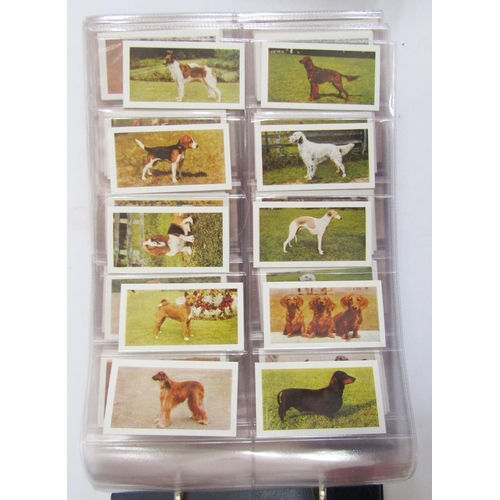 428 - Cigarette and tea cards in four albums to include Brooke Bond Tea, John Player & Sons Characters fro... 