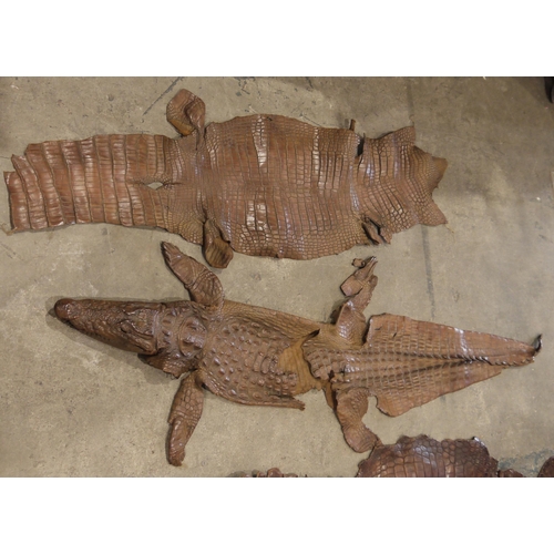 136 - Four crocodile skins, one complete with head and feet 203cm long, together with three further skins ... 