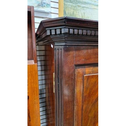 1188 - Irish dwarf press, mahogany, with ogee and dentil cornice, stepped frieze, having shelves and slidin... 