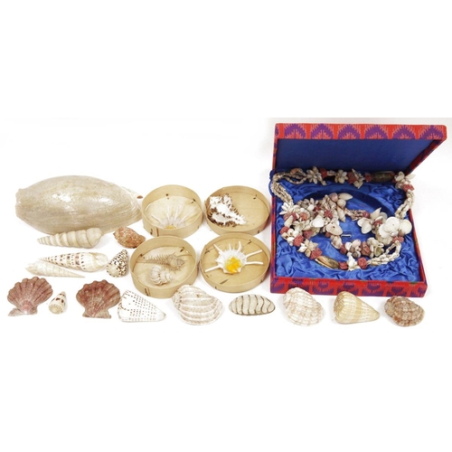 182 - Two boxes of mixed sea shells including two necklaces, boxed