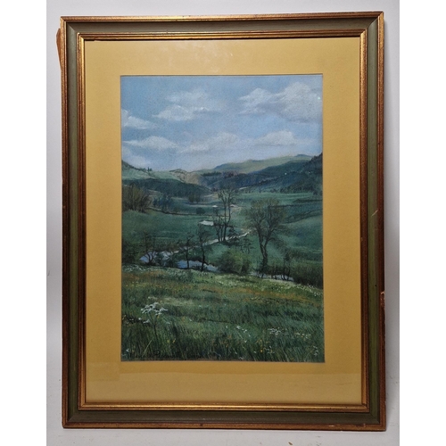 258 - Mercedes Piedrahita Uribe (20th century)
 Pastel on paper
 Landscape with river, signed lower left, ... 