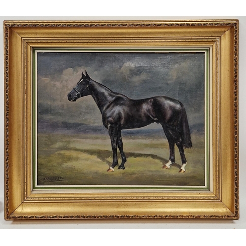 271 - Frank L Geere (1931-1991)
 Oil on canvas
 Study of a black horse with white star within landscape, s... 