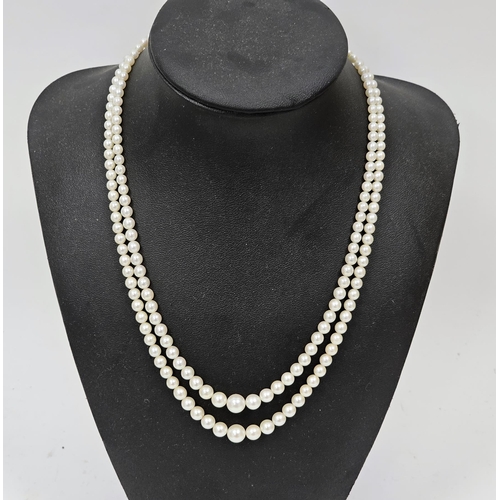 613 - Double strand of graduated cultured pearls with silver coloured metal clasp in blue velvet box inscr... 