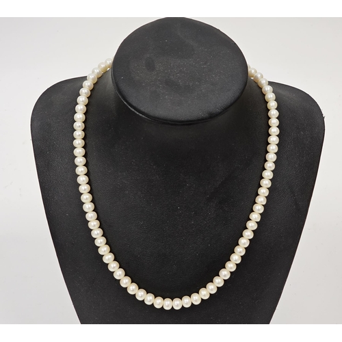 640 - String graduated cultured pearls on gilt metal clasp