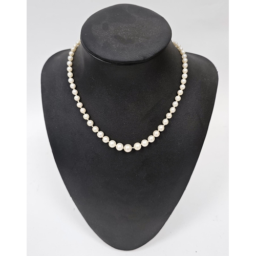 662 - Single strand cultured pearl choker, graduated, the 9ct white gold clasp set numerous tiny diamonds.... 