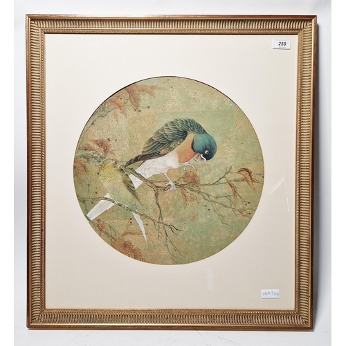 259 - 20th Century Chinese School
 Watercolour, gouache on paper
 Depicting two parrots perched on branche... 