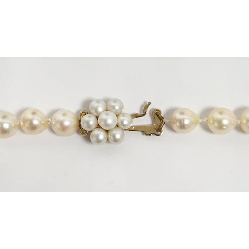 558 - Single row cultured pearl necklace, the uniform size pearls of approximately 6mm diameter, 9ct yello... 