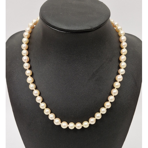 559 - Single row cultured pearl necklace, the uniform size pearls of approximately 6mm diameter, 9k gold c... 