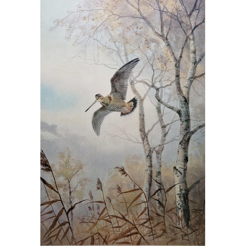 305 - After John Cyril Harrison (1898-1985)
 Two limited edition prints in colours, the first of a snipe i... 