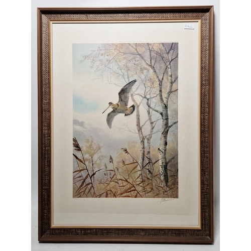 305 - After John Cyril Harrison (1898-1985)
 Two limited edition prints in colours, the first of a snipe i... 