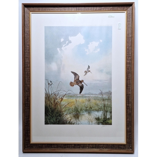 305 - After John Cyril Harrison (1898-1985)
 Two limited edition prints in colours, the first of a snipe i... 