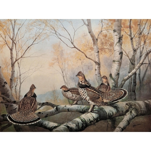 306 - After John Cyril Harrison (1898-1985)
 Two prints in colours, the first of grouse in wooded landscap... 