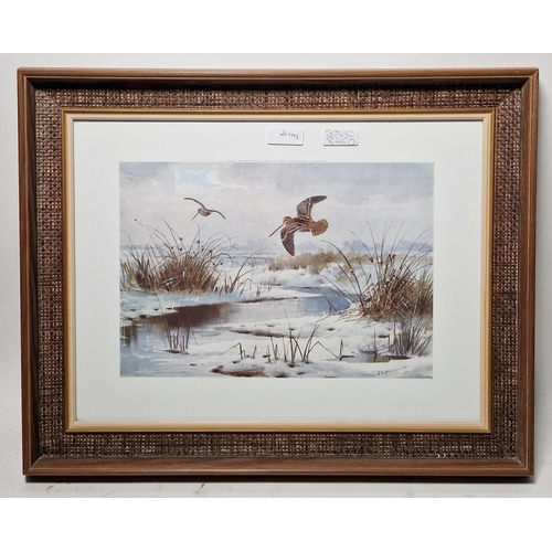 306 - After John Cyril Harrison (1898-1985)
 Two prints in colours, the first of grouse in wooded landscap... 