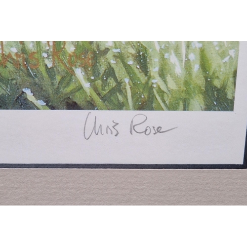 308 - After Chris Rose (1959)
 Two limited edition prints of birds
 Comprising: a robin amongst leaves, no... 