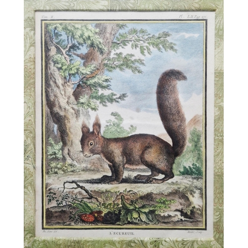 310 - Pierre Charles Baquoy (1759-1829)
 Handcoloured engraving on paper
 Le Renard, pl. XLII, p. 228 from... 