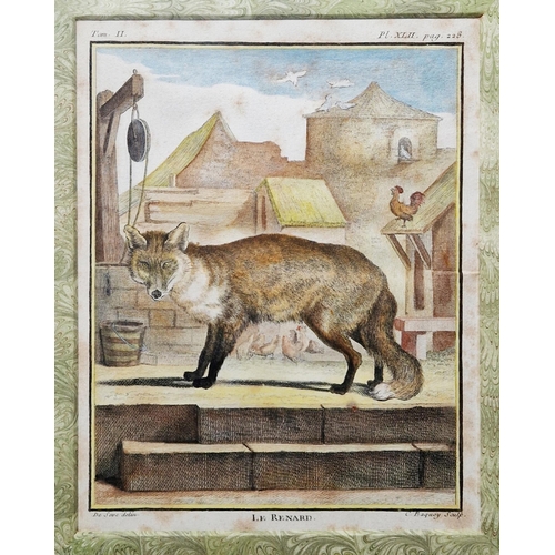 310 - Pierre Charles Baquoy (1759-1829)
 Handcoloured engraving on paper
 Le Renard, pl. XLII, p. 228 from... 