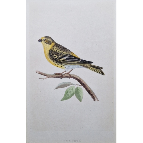 311 - Ten framed ornithological prints, eight in corresponding burr frames, including the Wood Warbler, Ch... 