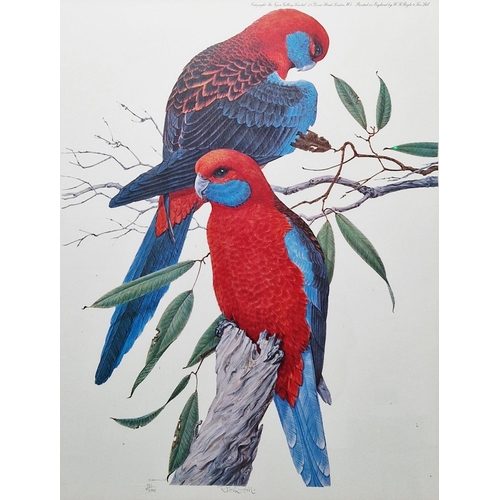 313 - After Robin Hill (Australian 1932-)
 Colour print
 Two limited edition prints of parrots, signed and... 